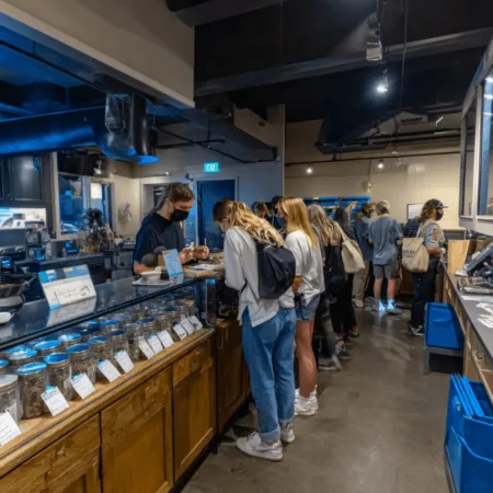 Discover how the Michigan cannabis wholesale tax is shaking up dispensaries. Will your favorite retailers survive the new 24% increase? Find out now!