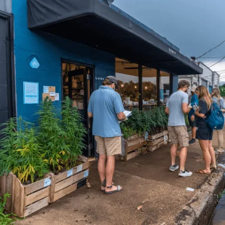Don’t risk your business—discover critical facts about Missouri cannabis license revocation, what’s behind it, and how you can protect your operation today.