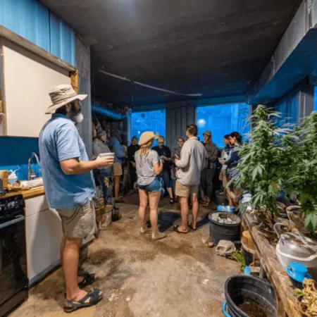 How the Cannabis Flowering Rule Supercycle Is Shaking Up Grow Culture Ready to challenge the cannabis flowering rule? Discover how the Supercycle Crew is rewriting cultivation—unlock the secrets behind this bold grow revolution.