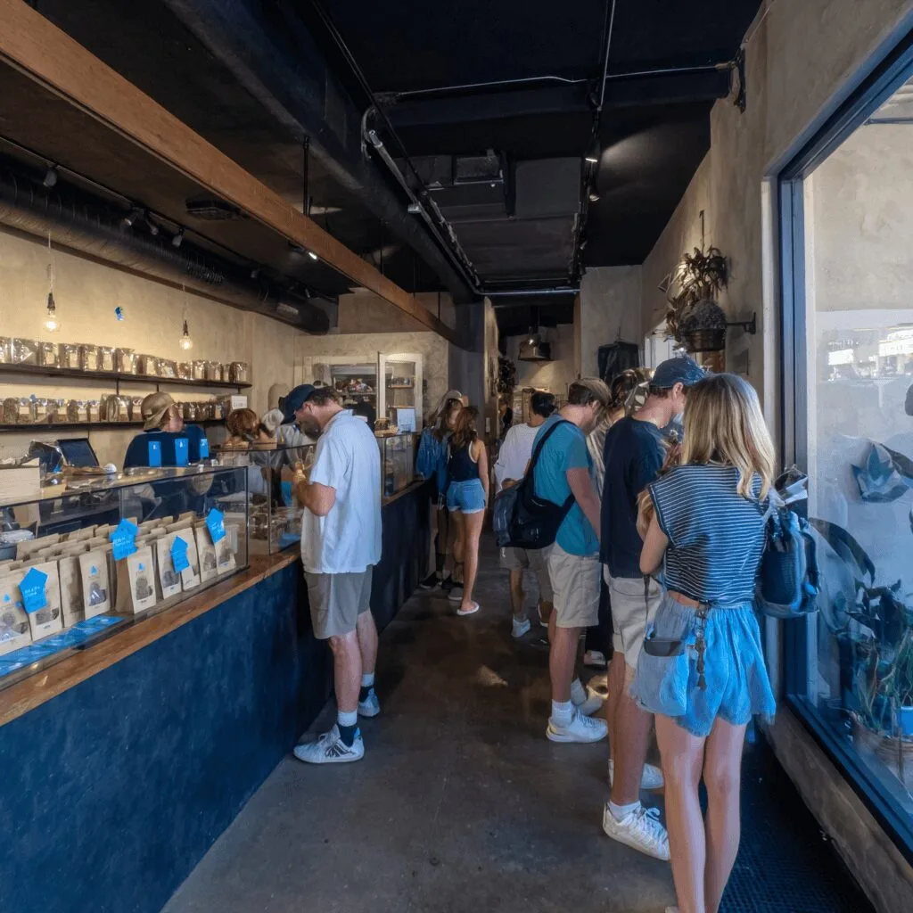 Curious about the San Diego smoke shop lawsuit? Discover the bold legal action shaking up local cannabis businesses—get the inside story now!