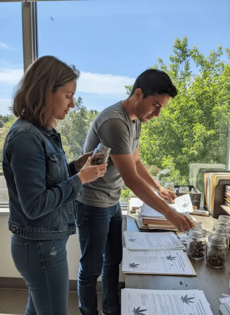 Curious about California Cannabis Control Appeals? Discover how new funding could impact your rights and the cannabis industry—don’t miss out!