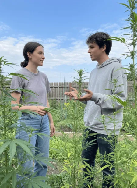 Curious about marijuana vs hemp? Uncover surprising facts, myths, and benefits now—see why this debate matters more than ever. Click to learn the truth!