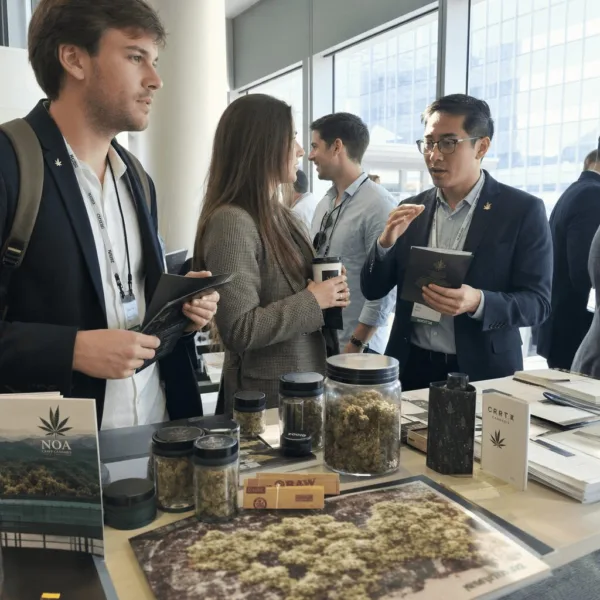 Unlock exclusive insights with our Auxly Cannabis Group investor summary—discover what sets Auxly apart and why investors are buzzing about this cannabis giant.