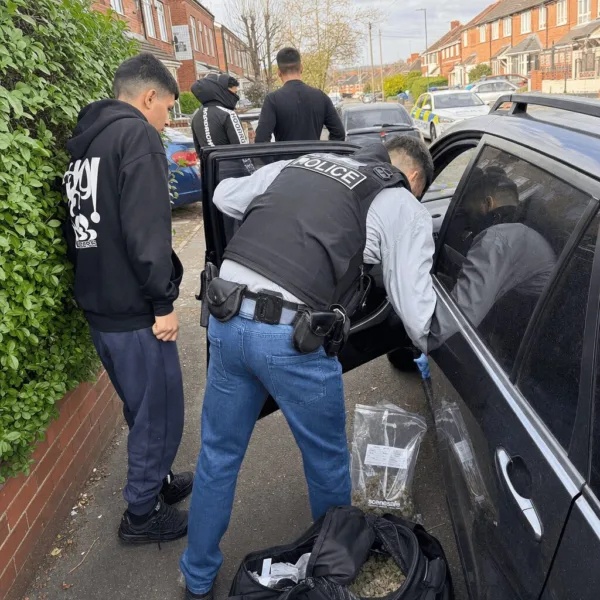 Birmingham marijuana trafficking arrest shocks the city. Discover exclusive details, expert insights, and what this means for your neighborhood.