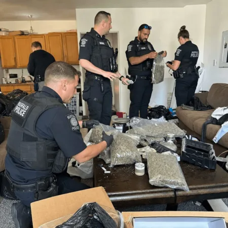 Curious about the recent Buffalo cannabis police raids? Discover what was found, how it happened, and why this story is sparking major debate.