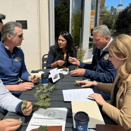 California Cannabis Policy Survey: What Elected Officials Really Think in 1780170082 Unlock the results of the California cannabis policy survey—discover what elected officials really think! Explore surprising public health priorities now.