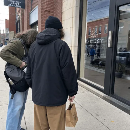 Craving Connecticut cannabis transparency? Discover the hidden truths regulators and insiders don’t want you to know—your choice could depend on it.