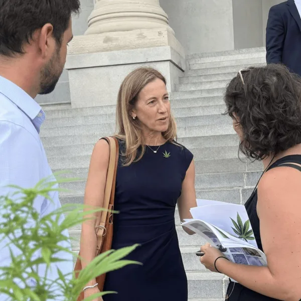 Discover how the Governor Sherrill cannabis legislation could change everything. Dive inside the bold moves—will this revolutionize the market?