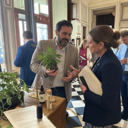 Illinois Cannabis Legislation: Lawmakers Weigh Big Changes Amid Industry Buzz Curious about the fate of Illinois cannabis legislation? Discover if lawmakers will shake up cannabis and hemp rules this week—don’t miss these crucial updates.
