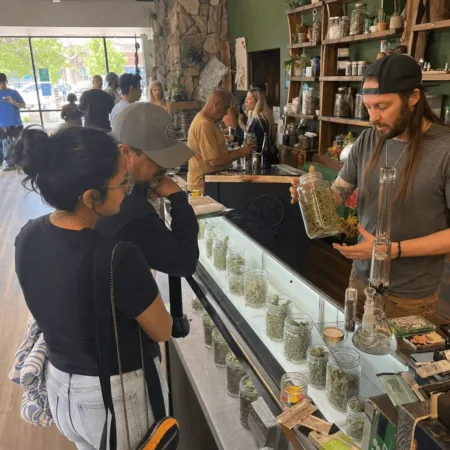 Curious about New Mexico cannabis sales reaching $2.2B? Discover what’s driving this surge and how it could impact the industry’s next big leap.