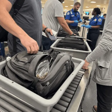 TSA Marijuana Security Policy: What Air Travelers Must Know in 2024 Curious about the TSA marijuana security policy? Discover what’s changed and how it affects your travel. Don’t risk surprises—get the crucial facts!