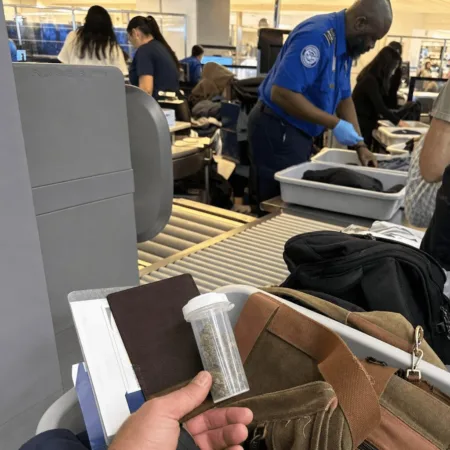Curious about the TSA medical marijuana policy? Get the inside scoop on what’s changed and discover if you can travel with cannabis—don’t risk your trip!