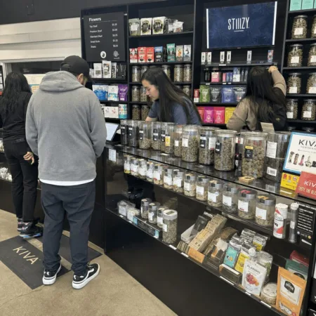 Curious about adult-use cannabis products? Discover the exciting selection at Holy Smokes and see what sets their offerings apart. Ready for a new experience?