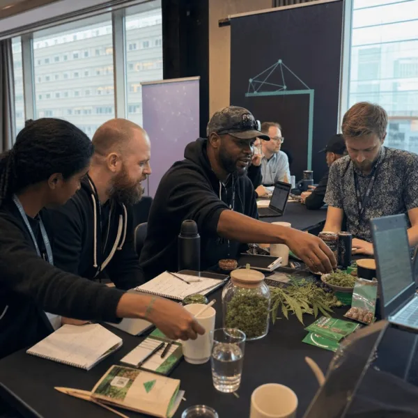 Black Hat Asia Threat Hunting: Bold New Frontiers Meet Cannabis Culture Ready for a deep dive? Discover exclusive insights into Black Hat Asia threat hunting—see how pros expose unseen risks and why it matters to you.