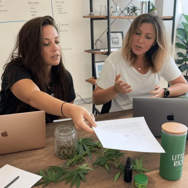 Breaking Down Cannabis Rescheduling Implications: What Changes Mean for You Are you ready for the cannabis rescheduling implications? Uncover the surprising effects and what they mean for society—don’t miss this essential update!