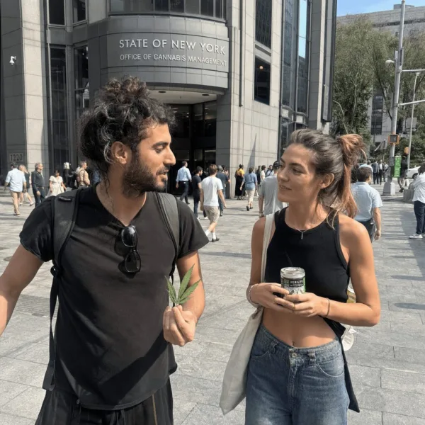 Breaking Down the New York Cannabis Enforcement Ruling: What It Means for Legal Weed in 2024 Curious about the New York cannabis enforcement ruling? Discover how this court decision could impact your business—see what New Yorkers should expect next.