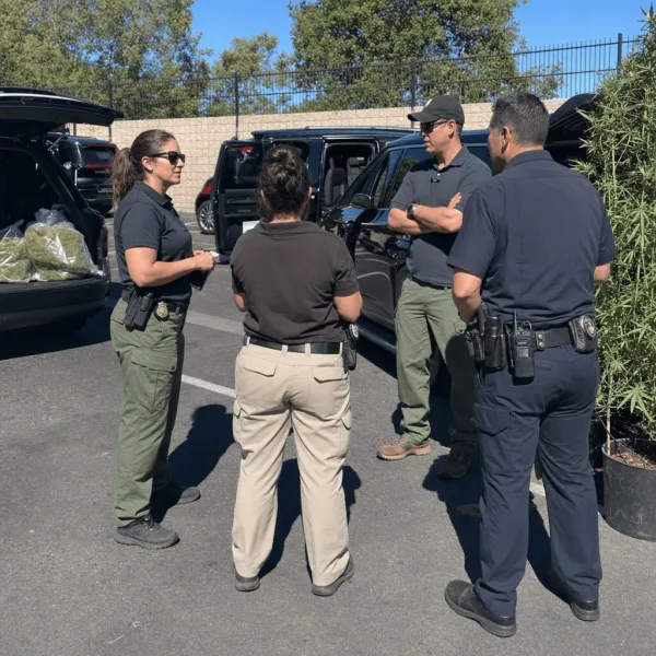 Curious about California cannabis enforcement funding? Discover how Newsom’s $227M pledge could shake up the fight against illegal cannabis operations.