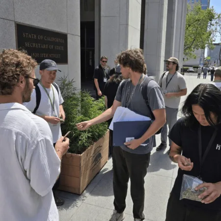 Curious about California DEA cannabis rules? Discover the latest changes, learn how they impact you, and stay ahead in California’s fast-evolving cannabis scene.