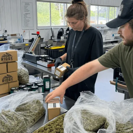 Discover why California labeled cannabis Michigan is making headlines! Dive into the controversy and see what inspectors actually found—click for the story.
