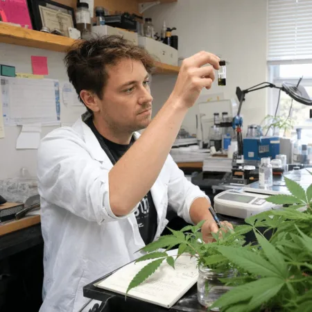 Cannabis Pain Relief Compound Breakthrough: What Science Reveals Now Uncover the truth about a cannabis pain relief compound that works without a high. Could this be the natural answer to your pain management needs?