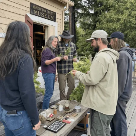 Dive Into the Untold Marijuana History Mendocino County Can’t Forget Dive into marijuana history Mendocino County—discover untold stories and rare artifacts. What secrets will you help reveal? Click to get involved now!