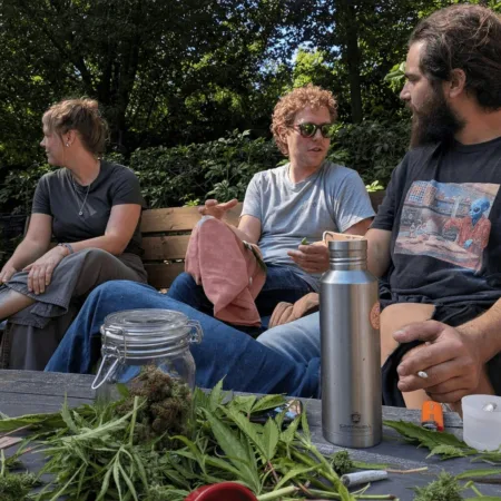 Unlock the story behind the psychedelics revival movement. Curious about its power and potential? Dive in for powerful revelations—don’t miss this trend!