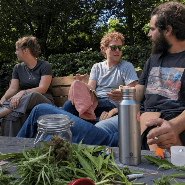 Unlock the story behind the psychedelics revival movement. Curious about its power and potential? Dive in for powerful revelations—don’t miss this trend!