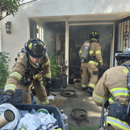 See how an illegal marijuana grow fire nearly injured firefighters—discover the shocking bear traps and hidden dangers. Don’t miss this eye-opening account!