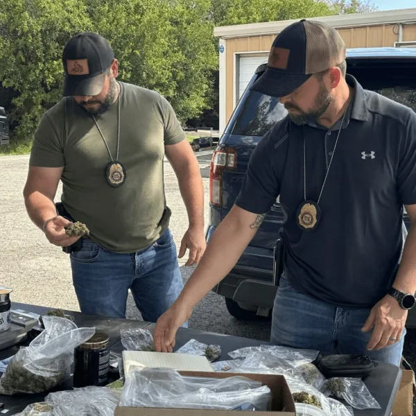 Curious about New Mexico cannabis enforcement? Discover how new cannabis cops are chasing down black market weed in shocking real-life operations.
