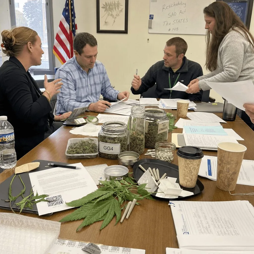 Inside the DEA Cannabis Rescheduling Hearing: Who Gets a Seat at the Table? Curious about the DEA cannabis rescheduling hearing? Discover why only anti-rescheduling voices were chosen—see what this means for the future of cannabis.