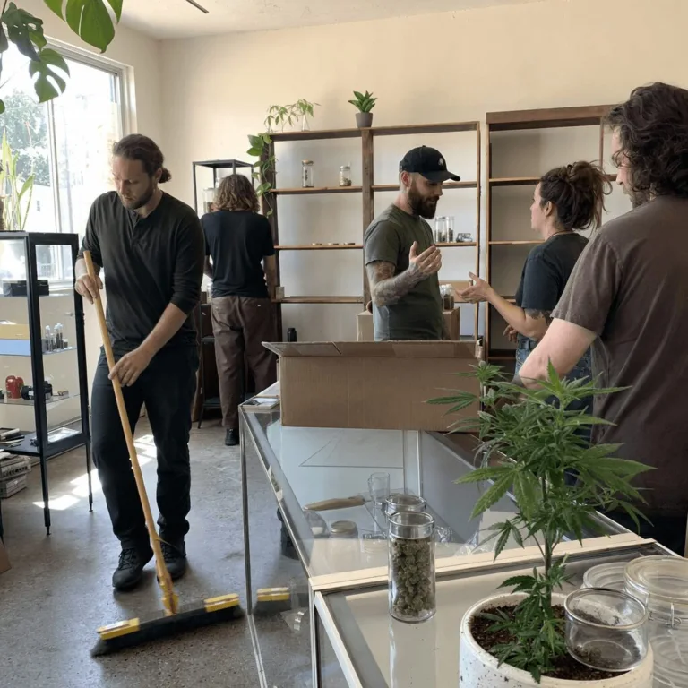 Discover the hidden reasons for cannabis business closure. Uncover insider tips, avoid costly mistakes, and protect your venture—read before it's too late!