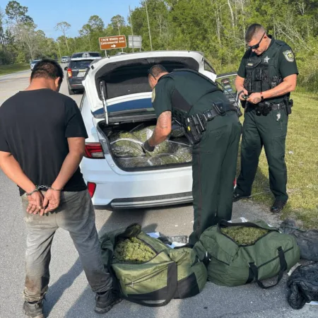 Get the inside story on the Lee County marijuana seizure—discover what led to this dramatic bust and why it’s the talk of the town. Don’t miss out!