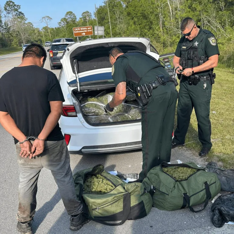 Get the inside story on the Lee County marijuana seizure—discover what led to this dramatic bust and why it’s the talk of the town. Don’t miss out!