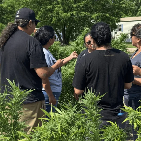 Curious about the Mashantucket Pequot cannabis agreement? Discover why this game-changing deal could reshape Connecticut’s cannabis landscape now.