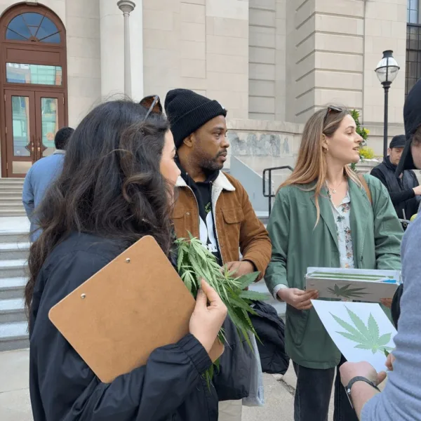Discover how the Massachusetts cannabis legalization campaign is mobilizing to defend cannabis rights. Will advocates succeed? Get the latest inside scoop!