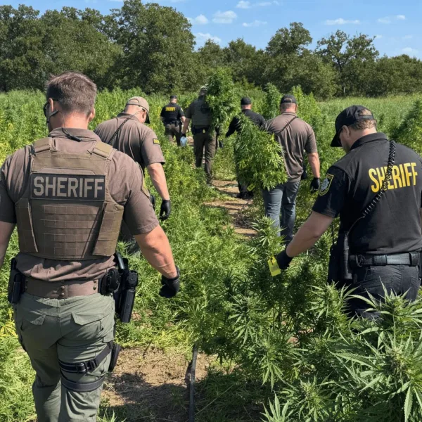 Discover the full story behind the marijuana plant seizure Oklahoma—why did authorities seize so many plants? Click for details and exclusive insights.