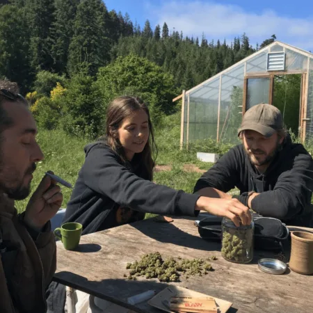 Discover untold stories from Mendocino cannabis history—dive deep into the highs, lows, and dramatic secrets behind California's pot boom and bust!