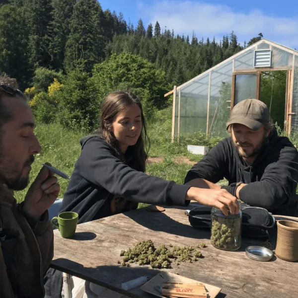 Mendocino Cannabis History: Untold Stories of Boom, Bust, and Community Discover untold stories from Mendocino cannabis history—dive deep into the highs, lows, and dramatic secrets behind California's pot boom and bust!