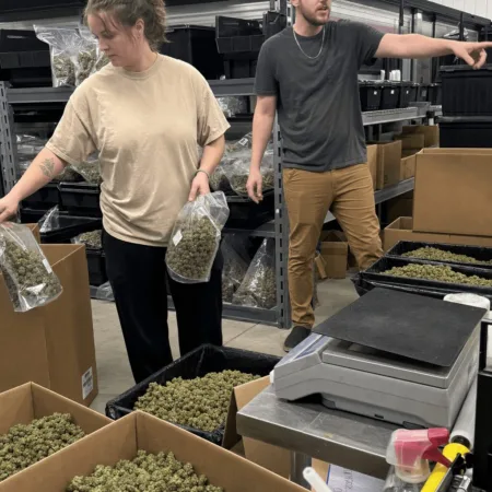 Michigan Cannabis Wholesale Tax: What’s Behind the Disappointing Revenue Drop? Discover why the Michigan cannabis wholesale tax is underperforming. Will this shortfall impact your business or wallet? Click to see the hidden story.