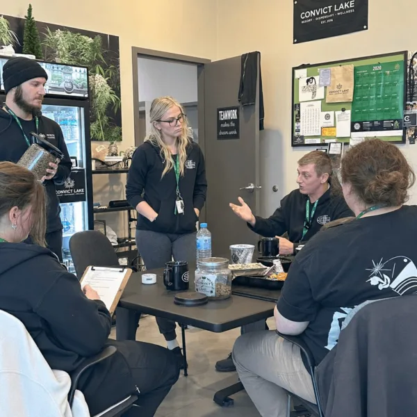 Minimum Wage Cannabis Industry Debate: Real Paychecks, Real Impact in 2024 Curious about the minimum wage cannabis industry debate? Discover what's at stake for jobs and business—learn what this battle means for the future!