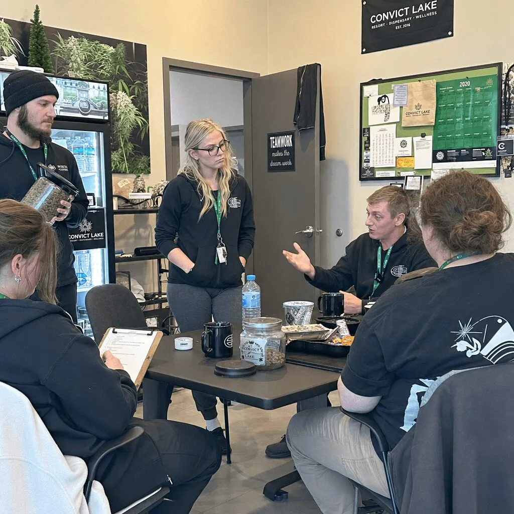 Minimum Wage Cannabis Industry Debate: Real Paychecks, Real Impact in 2024 Curious about the minimum wage cannabis industry debate? Discover what's at stake for jobs and business—learn what this battle means for the future!