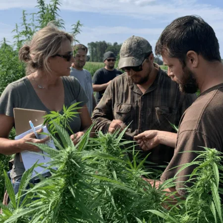 Confused by Missouri hemp CBD regulations? Discover potential border threats, risks, and top tips to keep your business legal. Click for urgent updates!