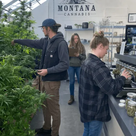 Montana Cannabis Legalization 2024: Real Stories, Big Changes, and What’s Next Curious about Montana cannabis legalization? Discover secrets behind the industry’s wild, regulated success. Ready for an inside look? Click and explore!