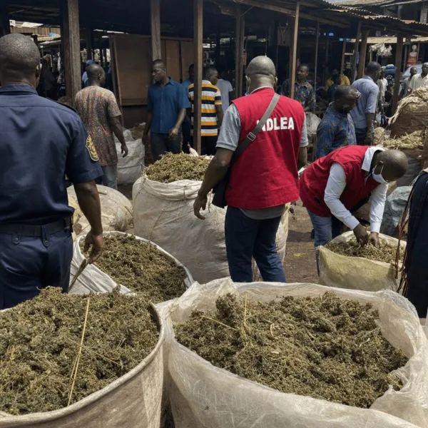 Don't miss the full story behind the latest NDLEA cannabis seizure Lagos—discover what really happened at Alaba Market and why everyone’s talking.