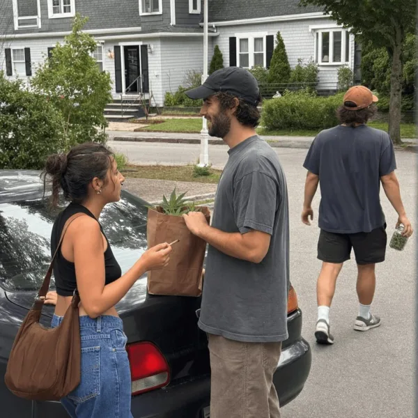 Don’t miss how the Needham marijuana delivery ban could shape the local cannabis scene. Curious what it means for you? Find out what's next in Needham.