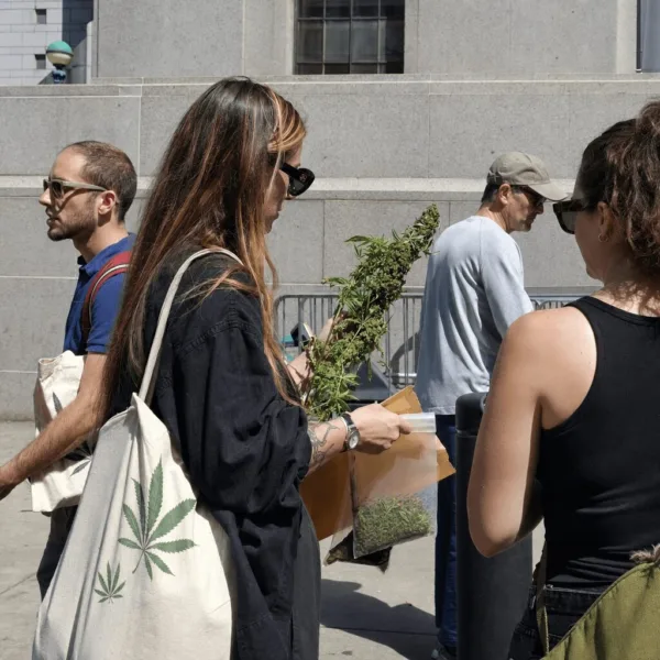 Curious about the New York anti-inversion cannabis bill? Discover why this new legislation is shaking up the state's cannabis industry—read before you miss out!