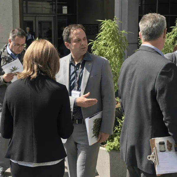 Curious about what New York cannabis regulators are changing? Discover critical updates and behind-the-scenes moves—click to get the insider scoop now!