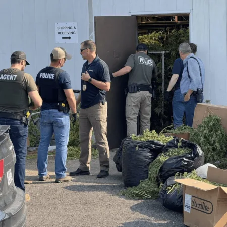 Get the real story behind recent Oklahoma marijuana busts. Discover shocking details and exclusive updates—don't miss what was uncovered this week.