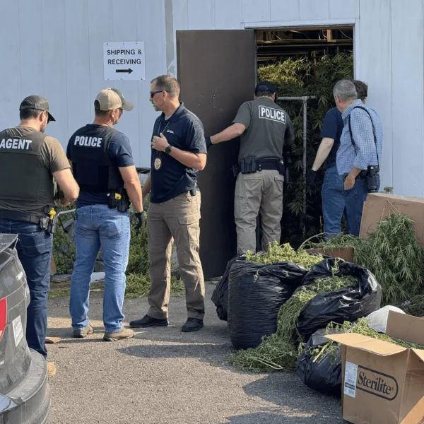 Get the real story behind recent Oklahoma marijuana busts. Discover shocking details and exclusive updates—don't miss what was uncovered this week.