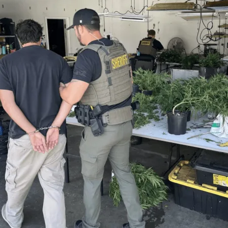 See inside the Polk County marijuana bust—an indoor grow op uncovered, shocking the community. What did police find? Dive into the gripping details now!